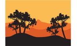 Silhouettes of tree with orange background