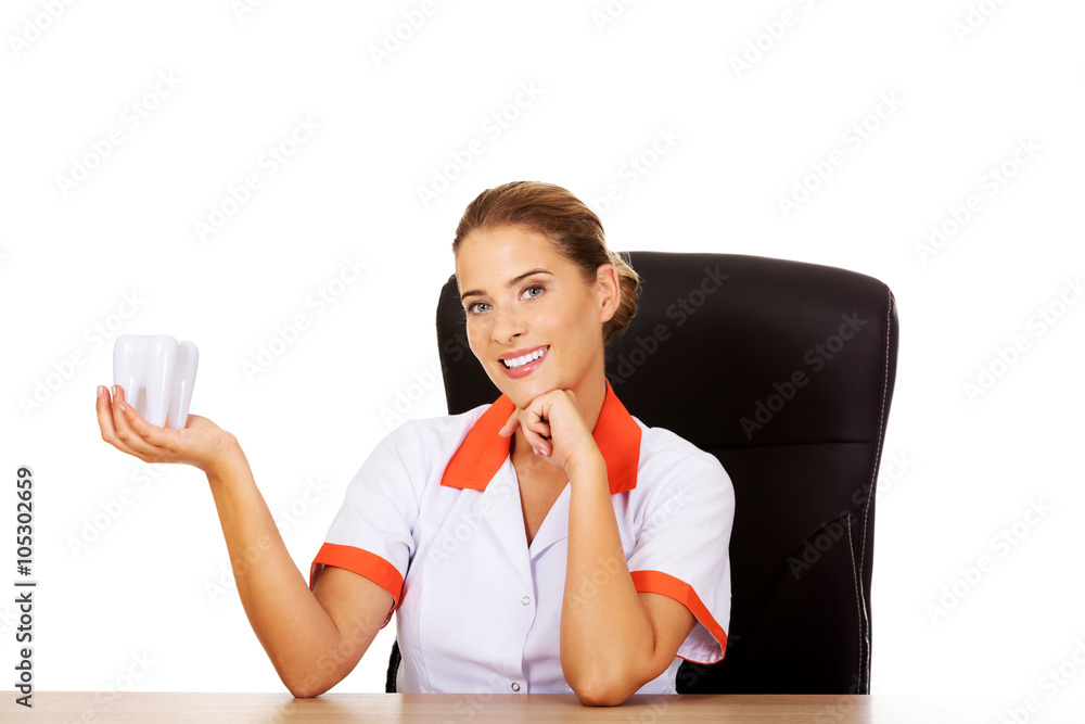 Female dentist holding tooth model and sitting behind the desk