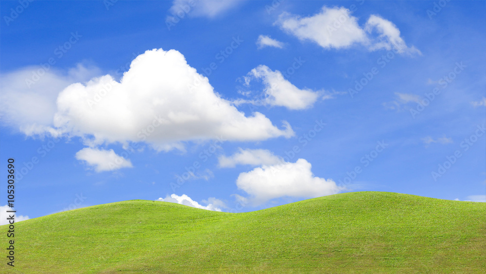 field of grass and perfect blue sky field of grass and perfect blue sky