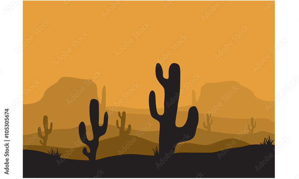 Silhouettes of cactus in the desert