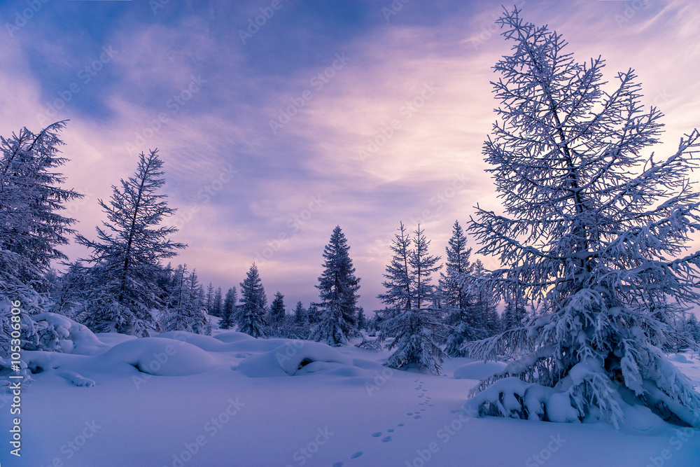 Winter landscape with forest, cloudy sky and sun and shadows. Tone. Winter landscape with forest, cloudy sky and sun and shadows. Tone.
