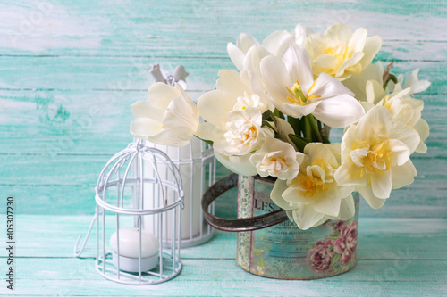 Fototapeta Naklejka Na Ścianę i Meble -  Bright  narcissus flowers in vase and candles  on turquoise pain