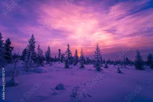 Winter Evening Landscape with forest, cloudy sky and sun 