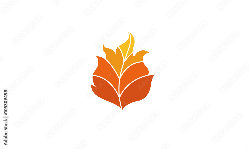 Obraz premium Fire Logo Template