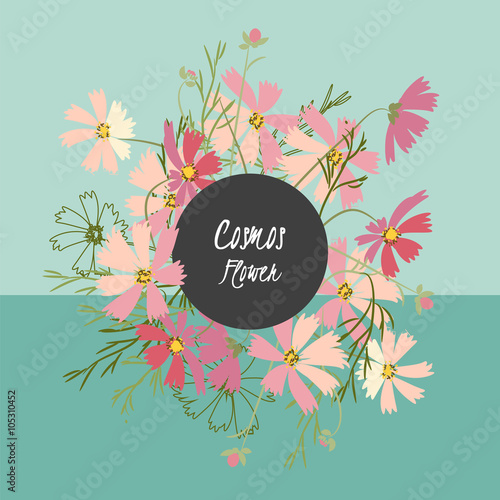 Floral cosmos flowers and crocus retro vintage background