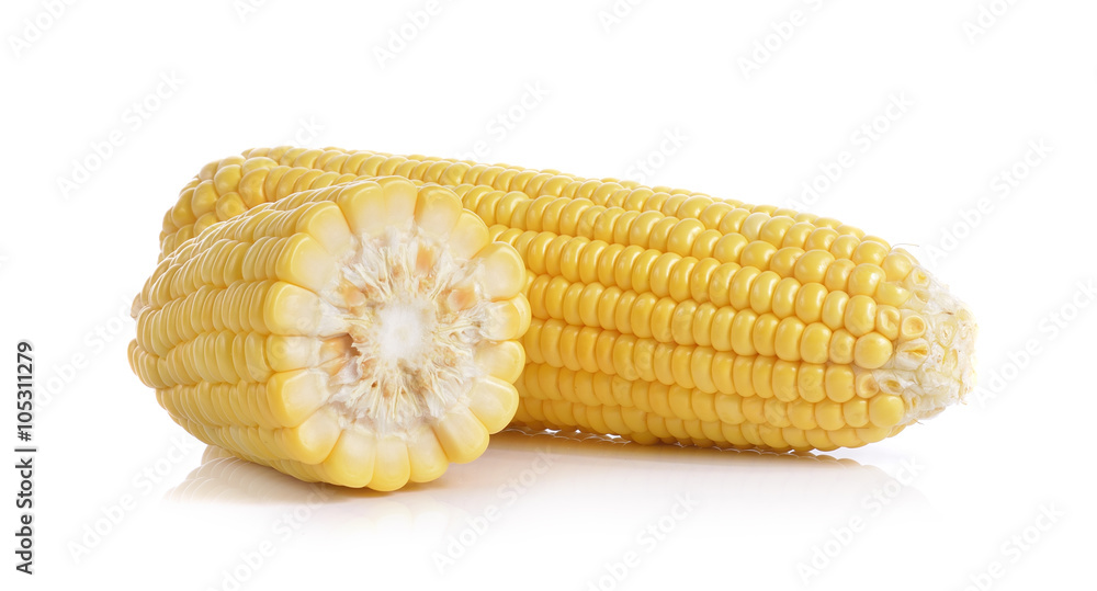 corn on white background corn on white background