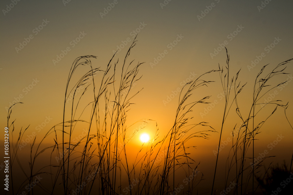 Naklejka premium Piękny zachód słońca