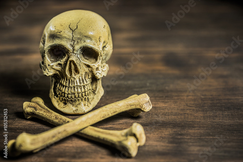 still life photography with human skull and crossbones photo