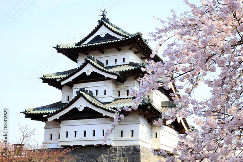 弘前公園の桜
日本さくら名所100選、日本の風景百選に選ばれている