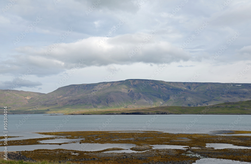 Walfjord auf Island