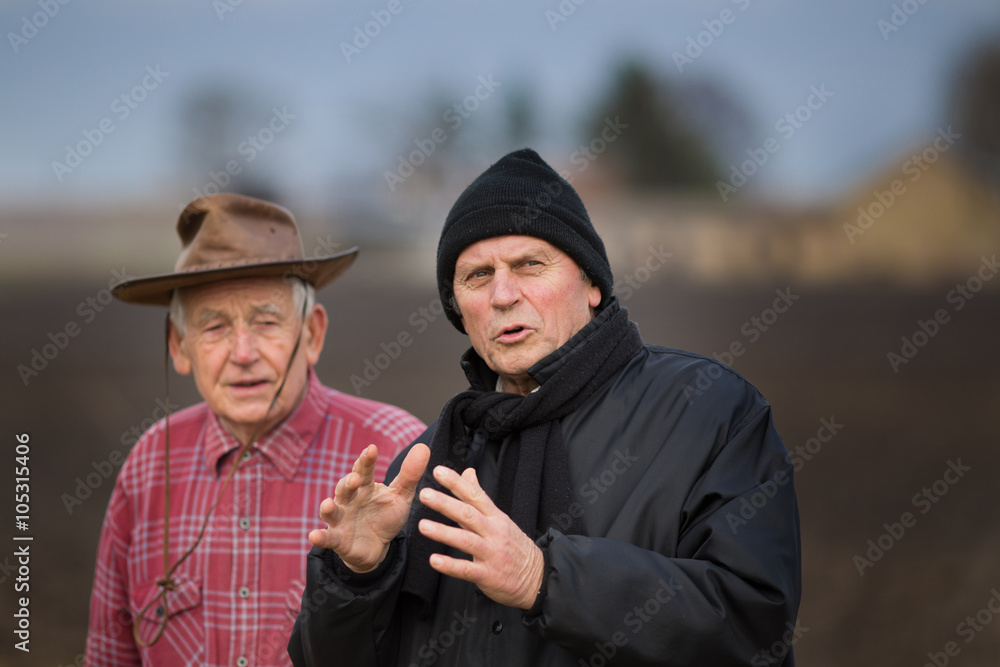 Peasants on the field Peasants on the field