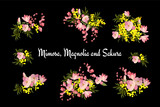 Floral background vector illustration