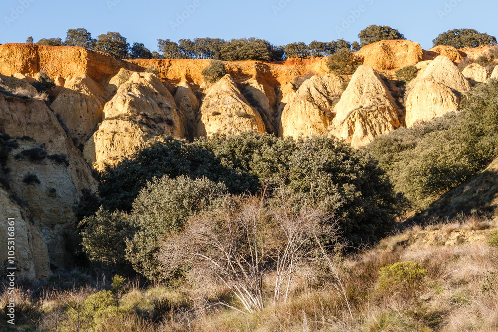 Cárcavas. Barrancos de arcilla y encinas. Las Torcas. Barrientos, León, España. Cárcavas. Barrancos de arcilla y encinas. Las Torcas. Barrientos, León, España.