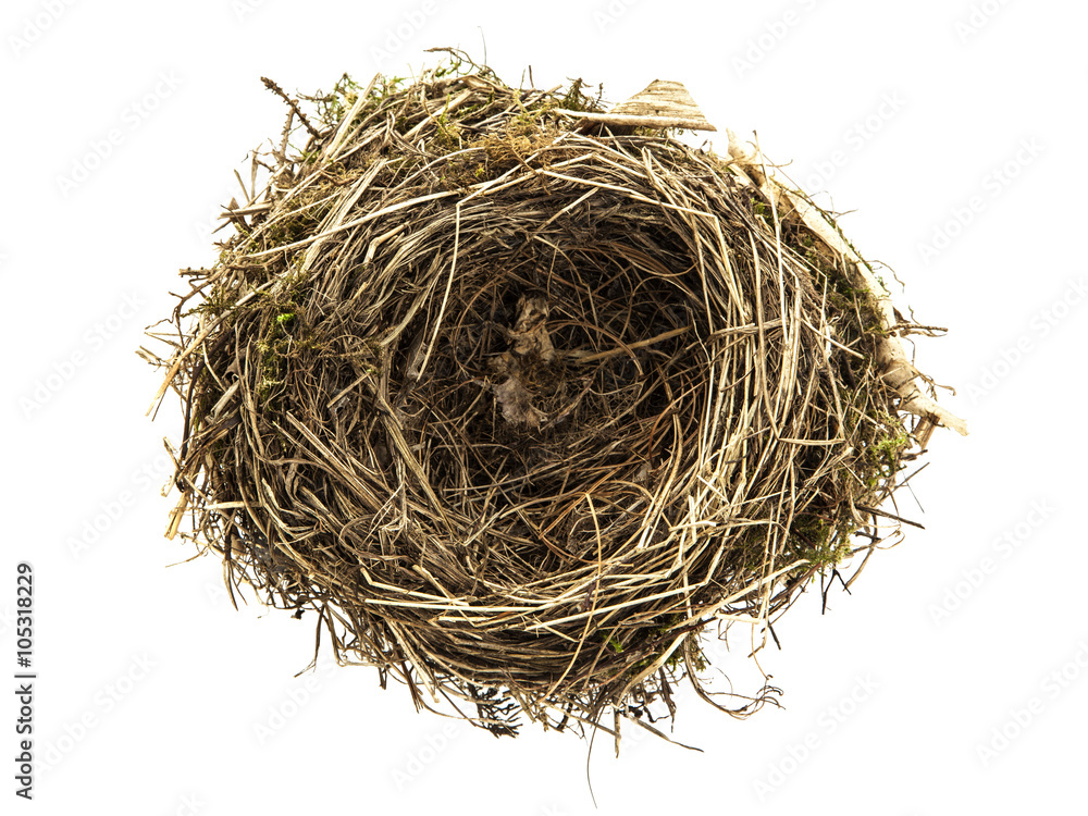 Obraz premium Bird nest isolated on white background