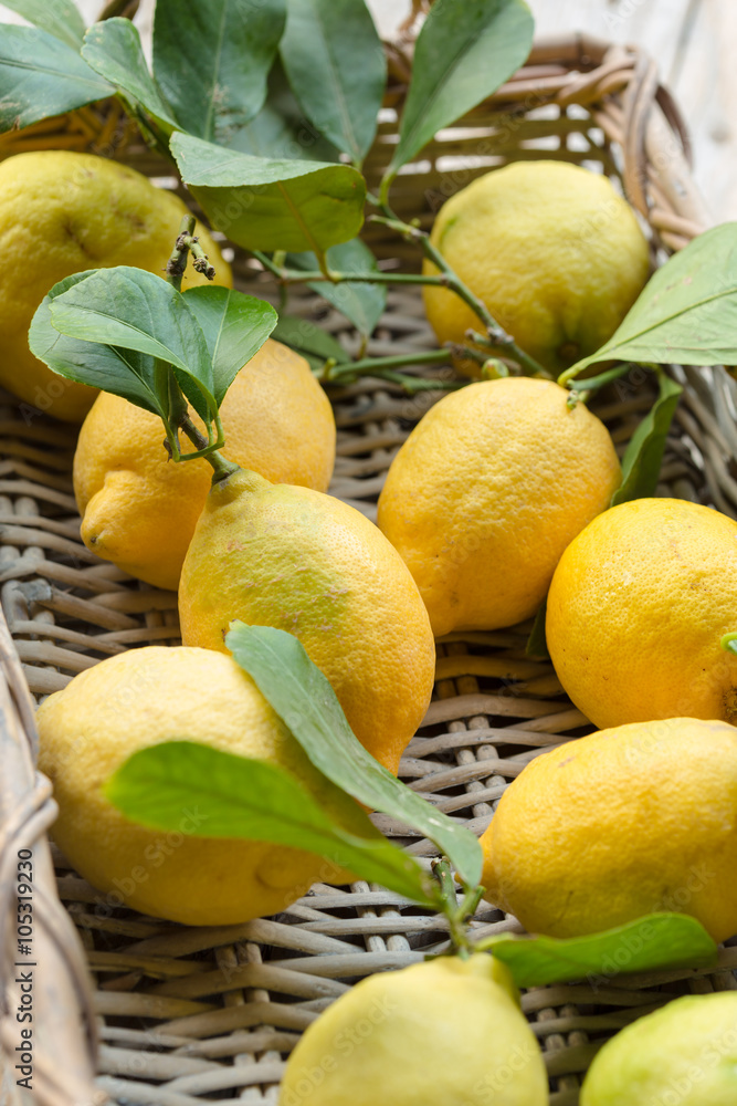 Organic lemons with leaves in a basket
