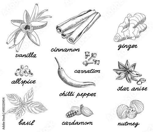 Spice sketch collection.
