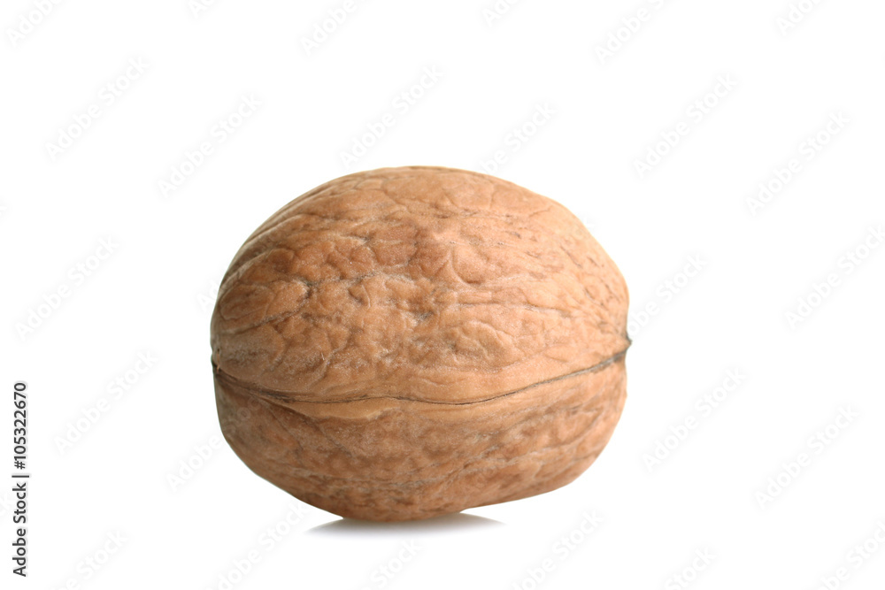 delicious and nutritious walnut isolated on white background delicious and nutritious walnut isolated on white background