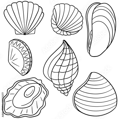 vector set of shell