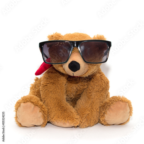 Cool teddy bear in sunglasses isolated