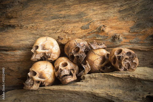 skull on wood background