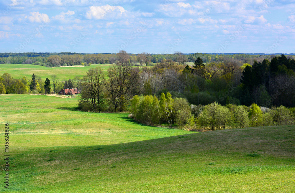 Green spring landscape with meadows and trees