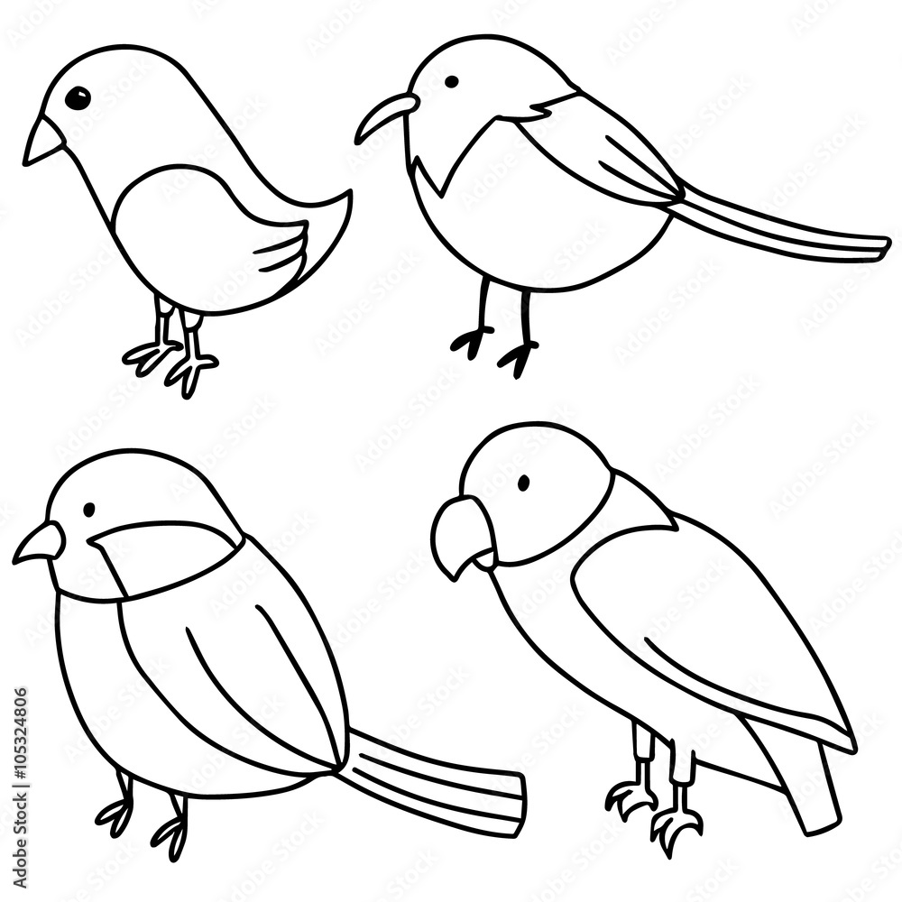 vector set of birds vector set of birds