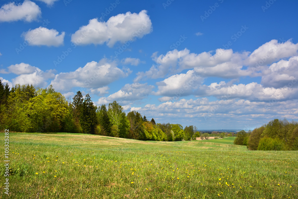 Green spring landscape with meadows and trees