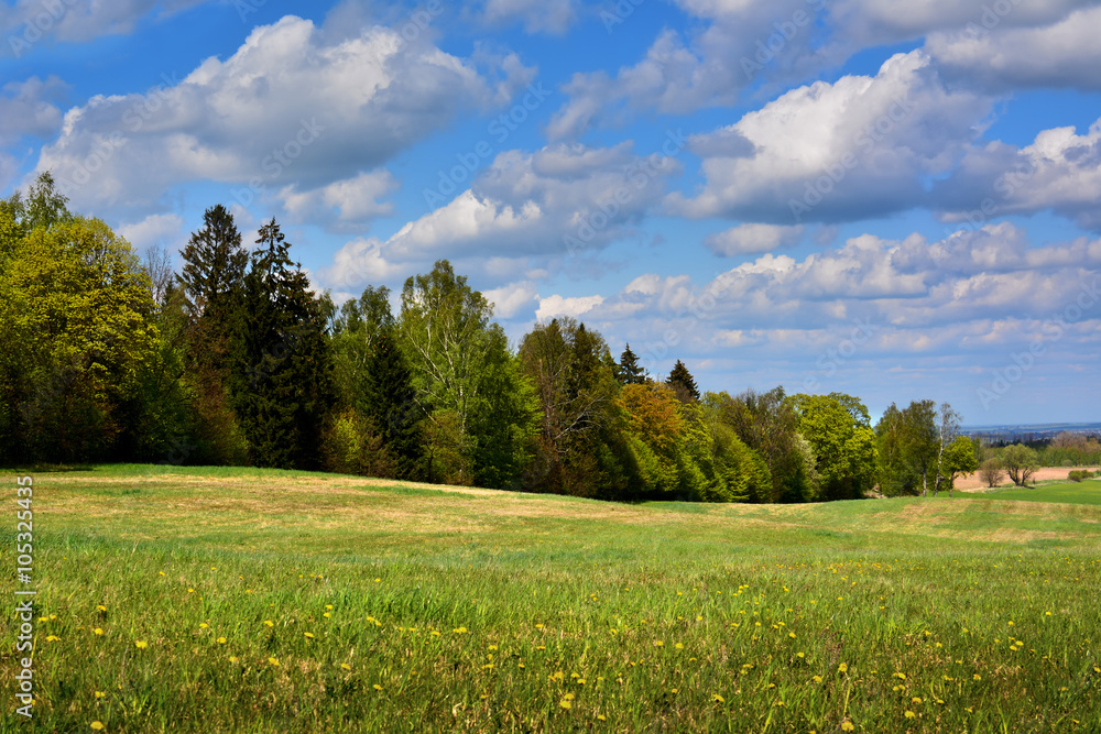 Fototapeta premium A spring landscape of green meadows, blooming flowers, and the first green leaves on the trees. All in the glow of the sun, on rolling hills under a blue sky with white clouds.