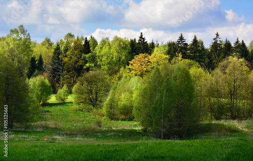 Fototapeta Naklejka Na Ścianę i Meble -  Green spring landscape with meadows and trees