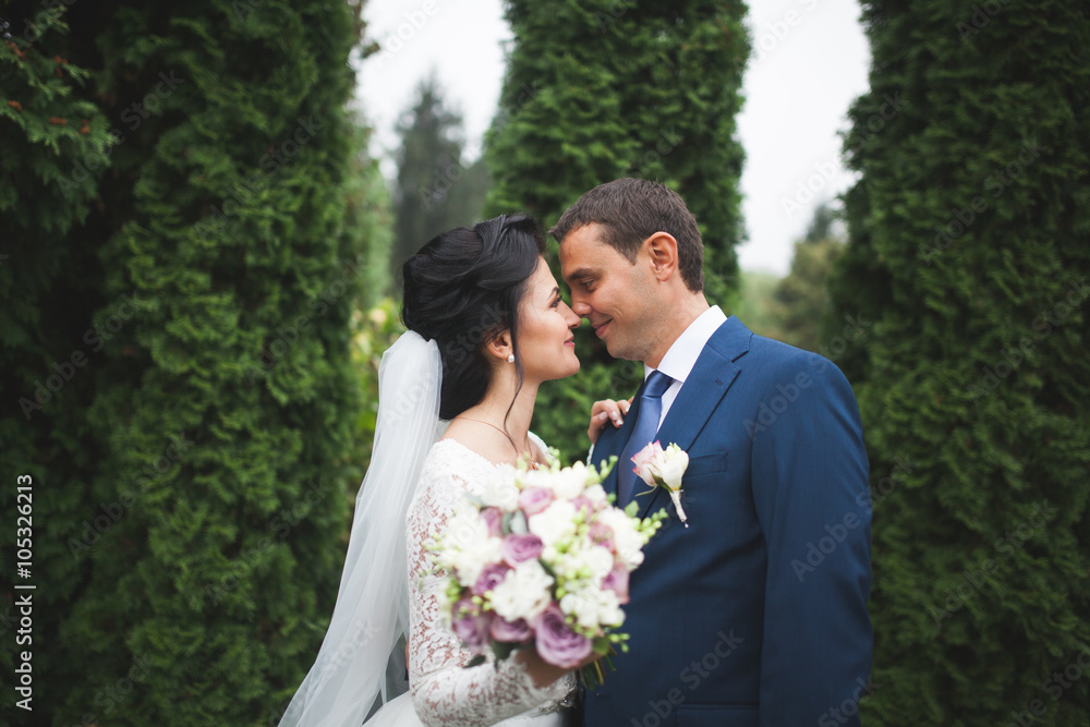 Happy wedding couple walking in a botanical park Happy wedding couple walking in a botanical park