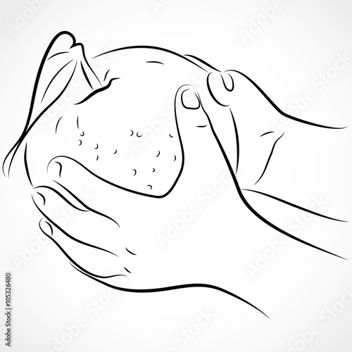 Kids hands holding an apple