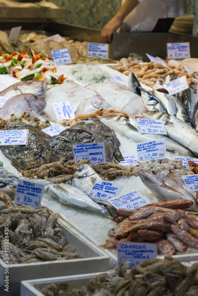 Bologna fresh fish market, Italy.