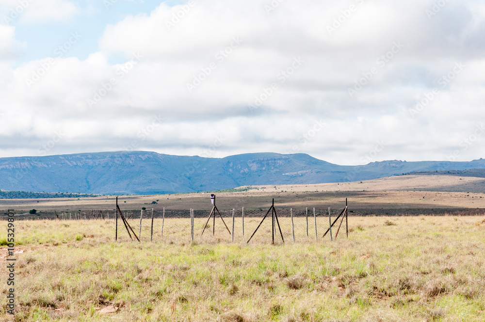 Fototapeta premium Monitoring plot in the Mountain Zebra National Park
