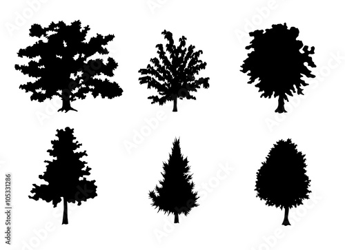 Six trees silhouettes