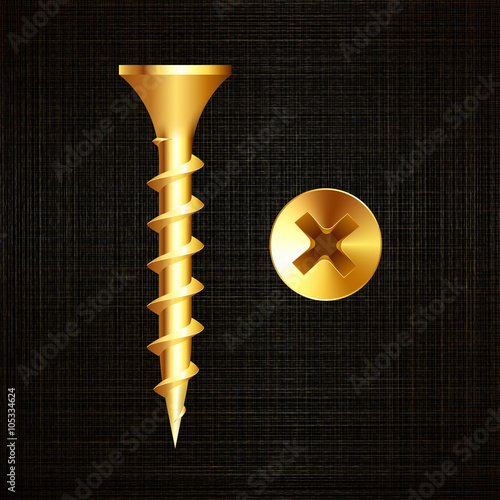 screw on a metal background...