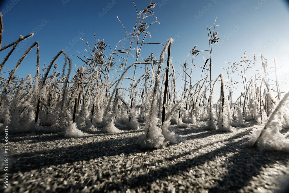 winter landscape in the background field winter landscape in the background field