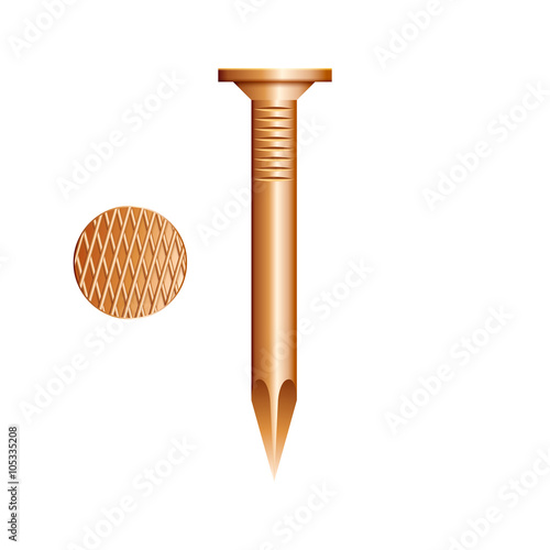 Realistic metallic nail iso...