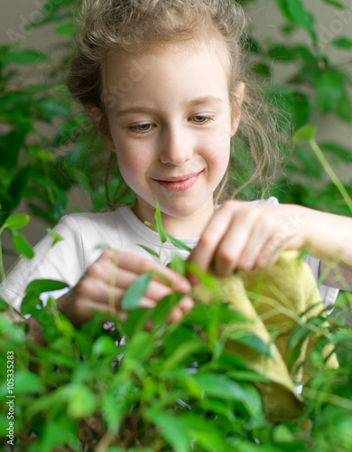 Tableau sur toile Little girl wipes dust from the flower leaves.
