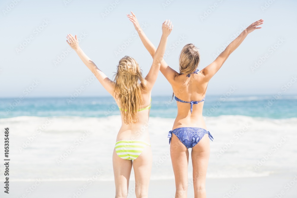 Excited rear women in bikini standing on the beach Excited rear women in bikini standing on the beach