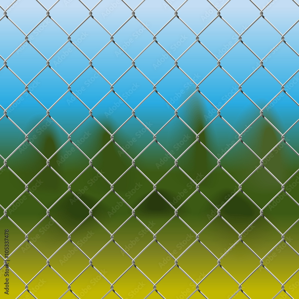 Fototapeta premium Vector Mesh Fence with Background