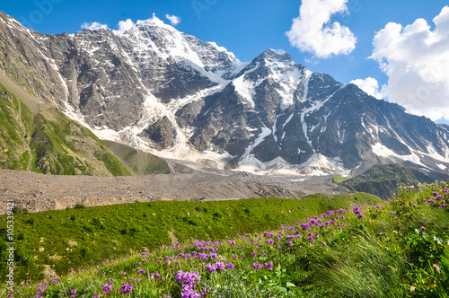 High mountain with glacier  below the flower meadow