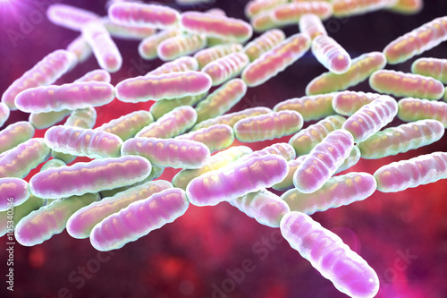 Photography Bacteria Lactobacillus, gram-positive rod-shaped lactic acid bacteria which are