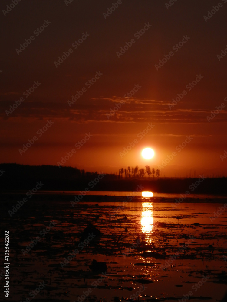 Beautiful sunset over the water Beautiful sunset over the water