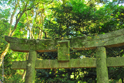 神社の鳥居 © junichi111