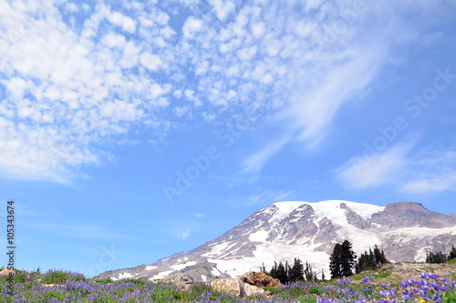 Landscape view of Mt. Rainier during spring time