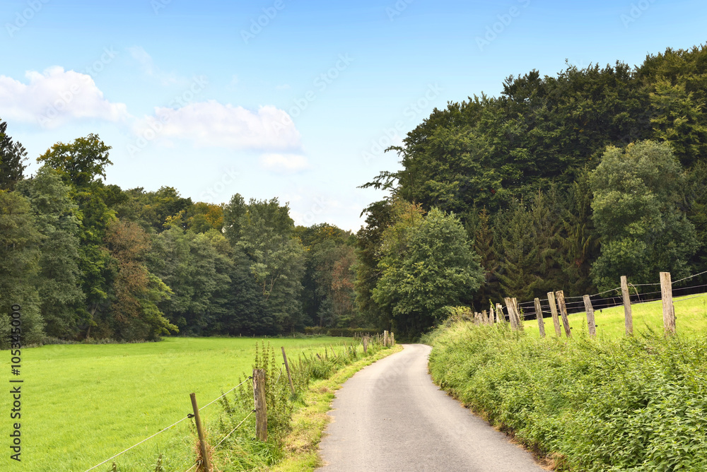 Idyllic country road with copy space and forest. Single lane road through fields and pastures, nature background. 
