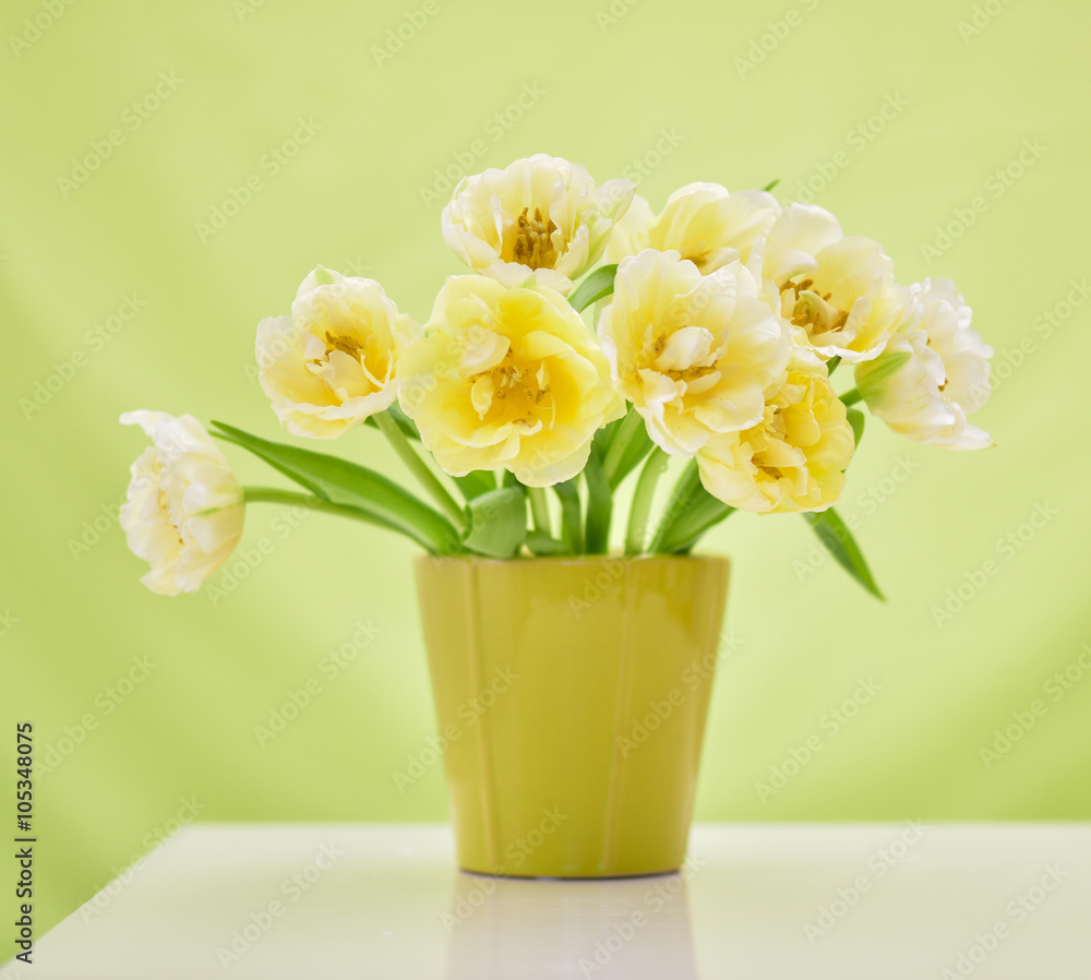 Bright spring bouquet in a vase. On the light green background.