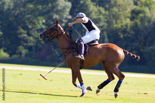 Polosport - Pferd und Reiter beim Polospiel