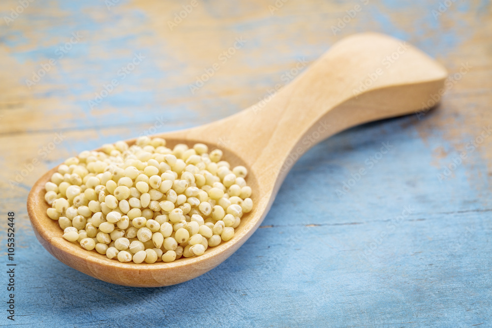 millet grain on wooden spoon millet grain on wooden spoon