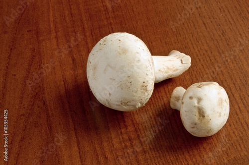 Mushrooms closeup shot on wooden background